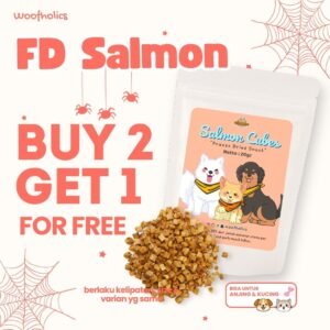 Freeze Dried Salmon | FD Ikan Salmon