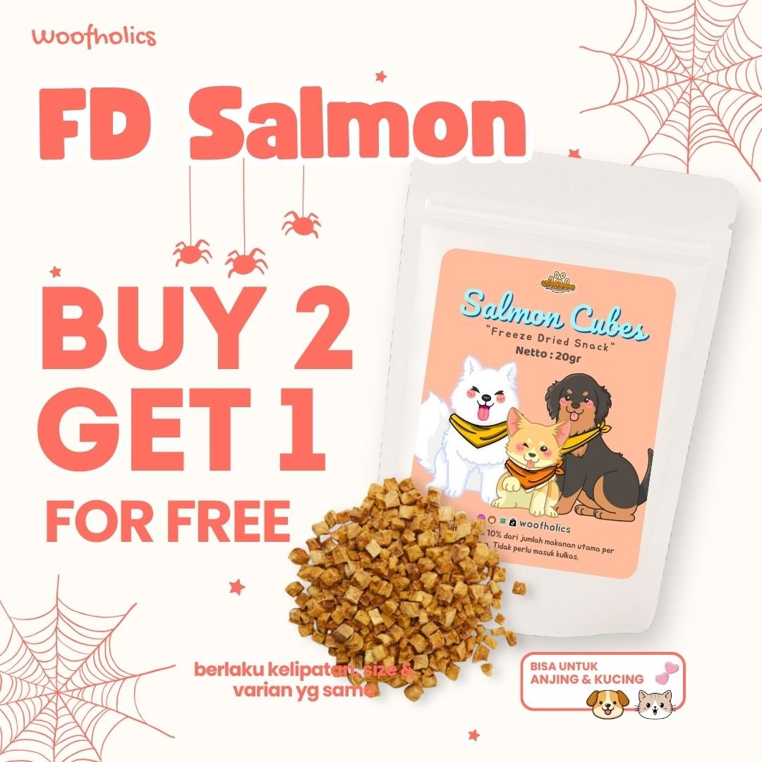 Freeze Dried Salmon | FD Ikan Salmon