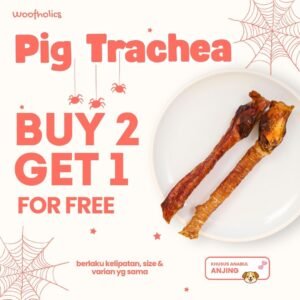 Pig Trachea | Trakea Babi