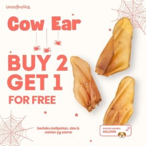 Cow Ear | Kuping Sapi