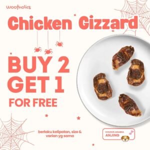 Chicken Gizzard | Ampela Ayam