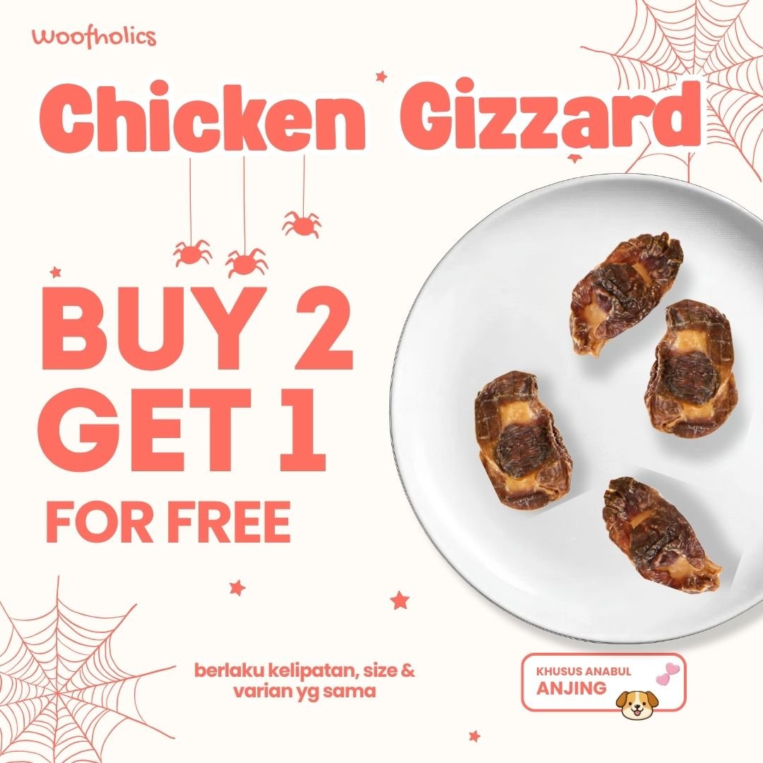 Chicken Gizzard | Ampela Ayam