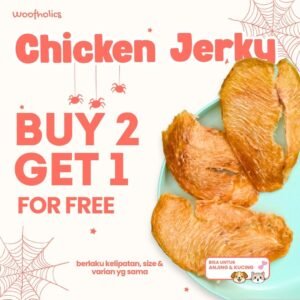 Chicken Jerky | Jerky Ayam