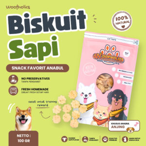 Beef Cookies | Biskuit Sapi