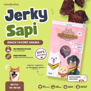 Beef Jerky | Jerky Sapi