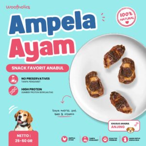 Chicken Gizzard | Ampela Ayam