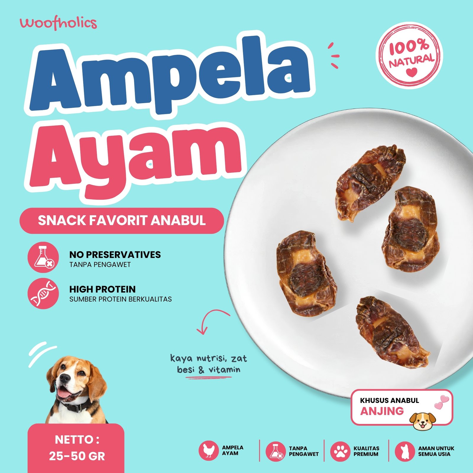 Chicken Gizzard | Ampela Ayam