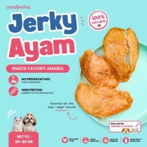 Chicken Jerky | Jerky Ayam
