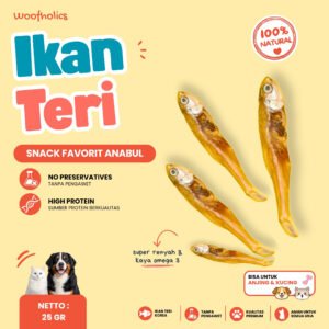 Dried Anchovy | Ikan Teri Kering