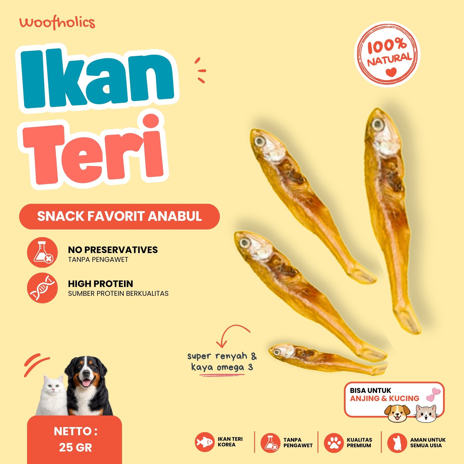 Dried Anchovy | Ikan Teri Kering