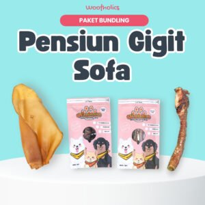 Paket Pensiun Gigit Sofa