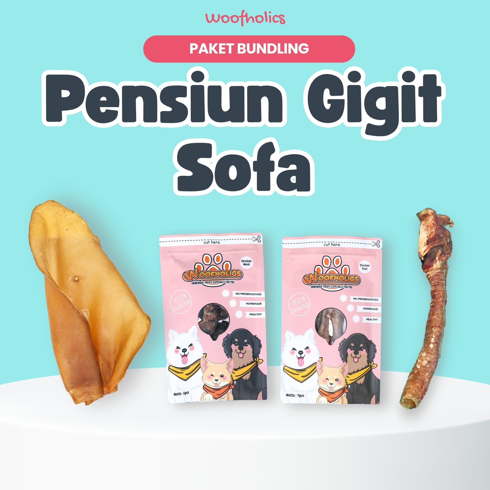 Paket Pensiun Gigit Sofa