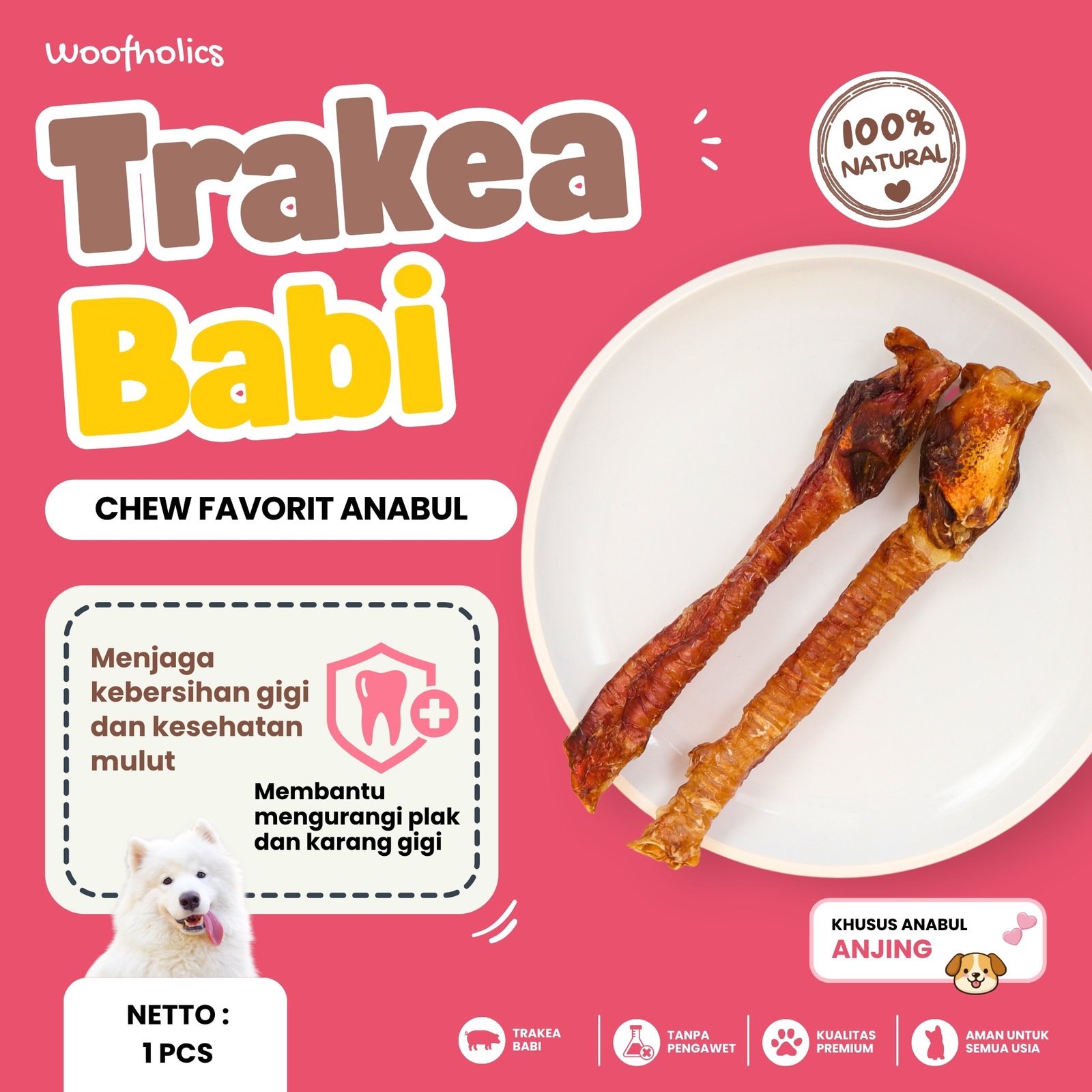 Pig Trachea | Trakea Babi