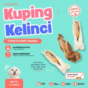 Rabbit Ear | Kuping Kelinci