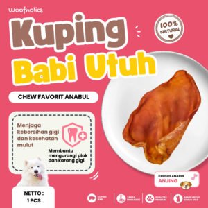 Whole Pig Ear | Kuping Babi Utuh